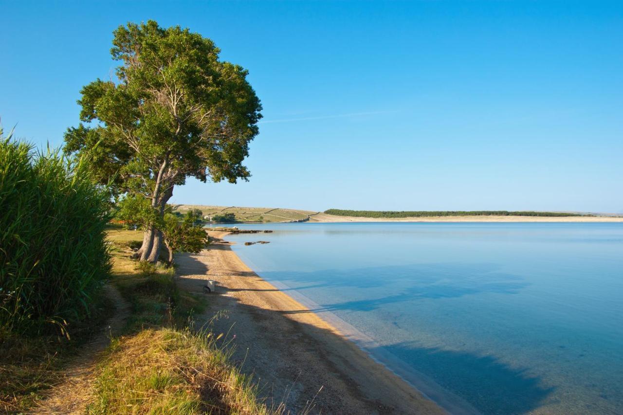 Family Friendly Apartments With A Swimming Pool Povljana, Pag - 244 Exterior photo